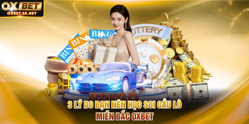 3 lý do bạn nên học soi cầu lô miền Bắc OXBET