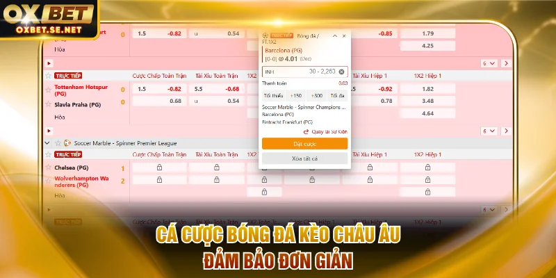 Cá cược bóng đá kèo châu Âu đảm bảo đơn giản