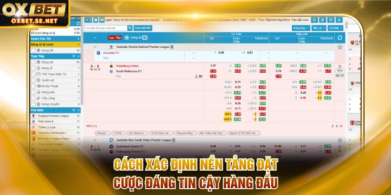 Cách xác định nền tảng đặt cược đáng tin cậy hàng đầu