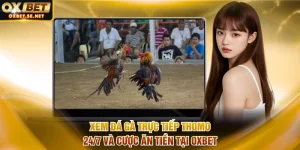 Đá gà trực tiếp Thomo 24/7