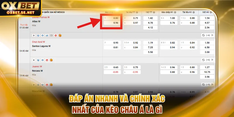 Đáp án nhanh và chính xác nhất của kèo châu Á là gì