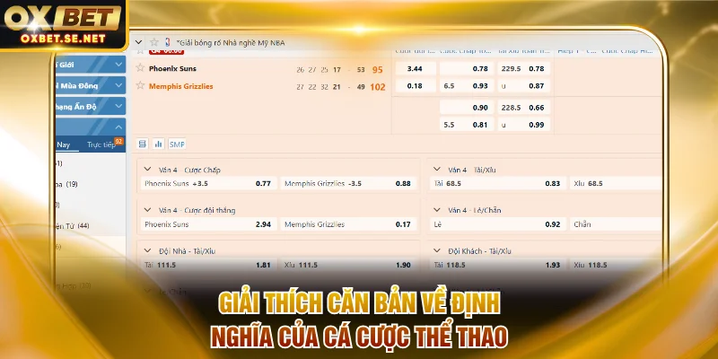 Giải thích căn bản về định nghĩa của cá cược thể thao