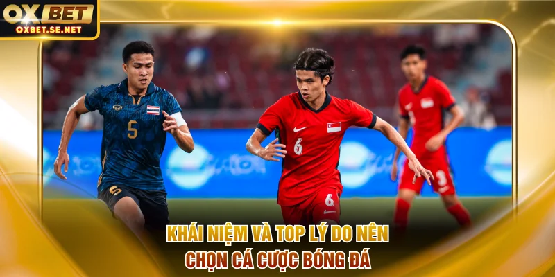 Khái niệm và top lý do nên chọn cá cược bóng đá