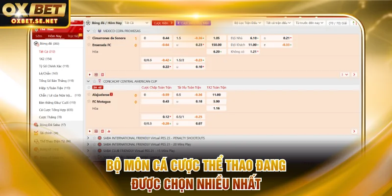 Những bộ môn cá cược thể thao đang được chọn nhiều nhất