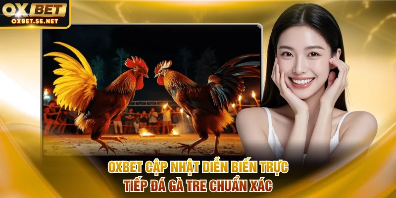 OXBET cập nhật diễn biến trực tiếp đá gà tre chuẩn xác