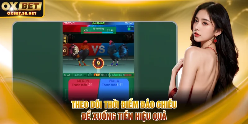 Theo dõi thời điểm đảo chiều trận đấu để xuống tiền hiệu quả