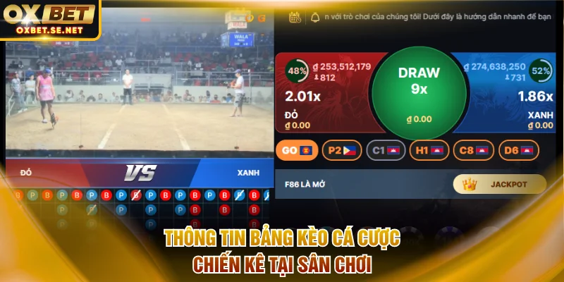 Thông tin bảng kèo cá cược chiến kê tại sân chơi