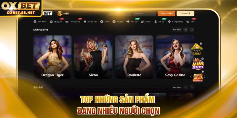 Top những sản phẩm đang nhiều người chọn trên hệ thống