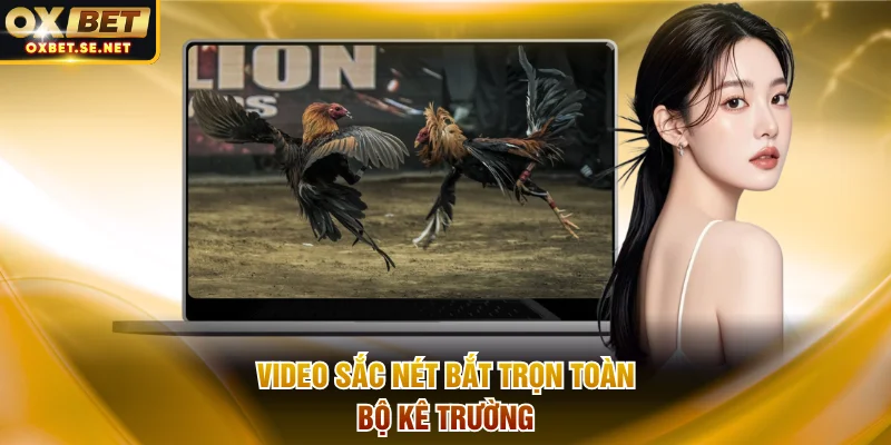 Video sắc nét bắt trọn toàn bộ kê trường